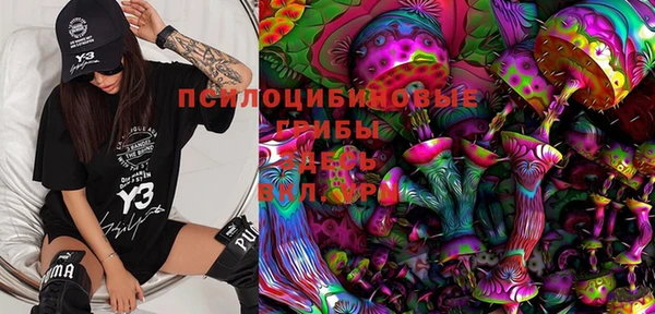 мет Шали
