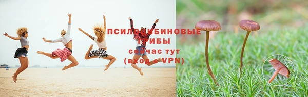 а пвп мука Шарыпово