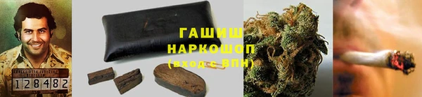 jwh Шадринск