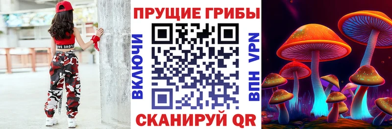 гидра рабочий сайт  Томск  Псилоцибиновые грибы GOLDEN TEACHER 