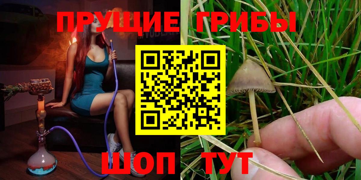 Псилоцибиновые грибы мухоморы  Галлюциногенные грибы мухоморы  Вход с VPN  Томск 